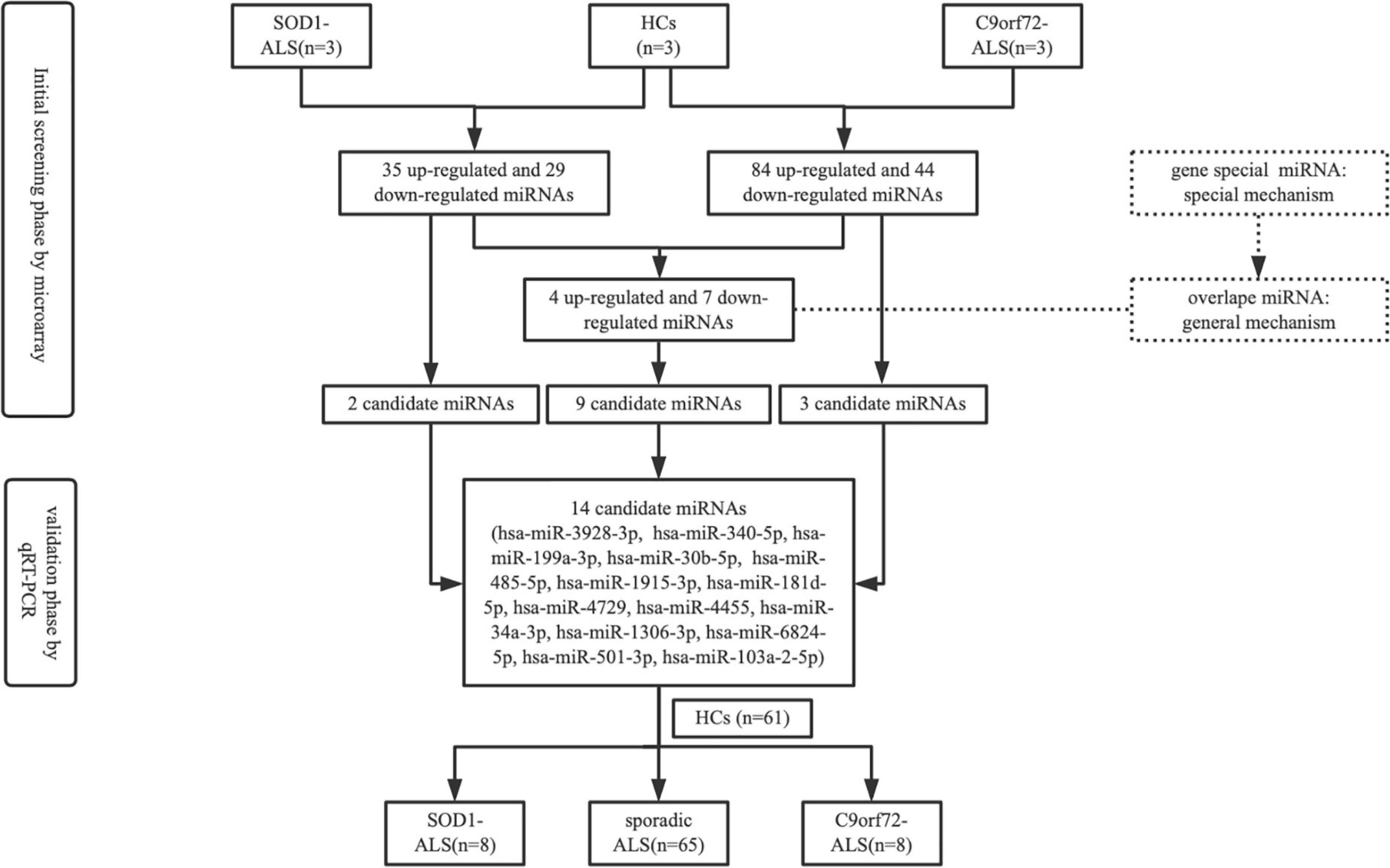 Signature of miRNAs derived from the circulating exosomes of patients with amyotrophic lateral sclerosis